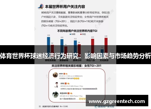 体育世界杯球迷经济行为研究：影响因素与市场趋势分析