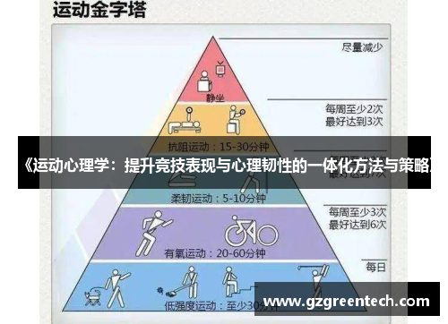 《运动心理学：提升竞技表现与心理韧性的一体化方法与策略》